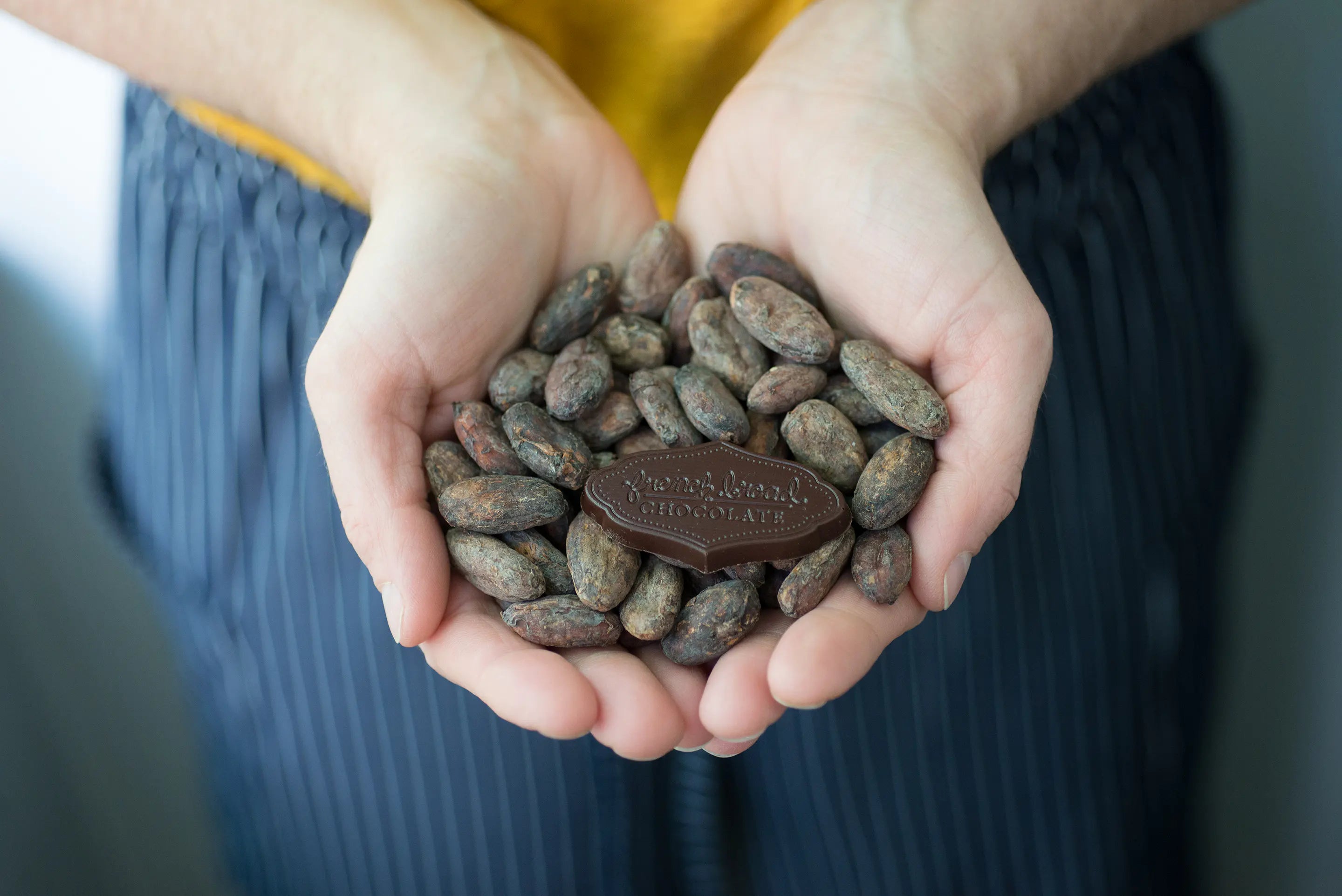 Open hands holding cacao beans, on top of which is a piece of chocolate in the "French Broad Chocolates" logo