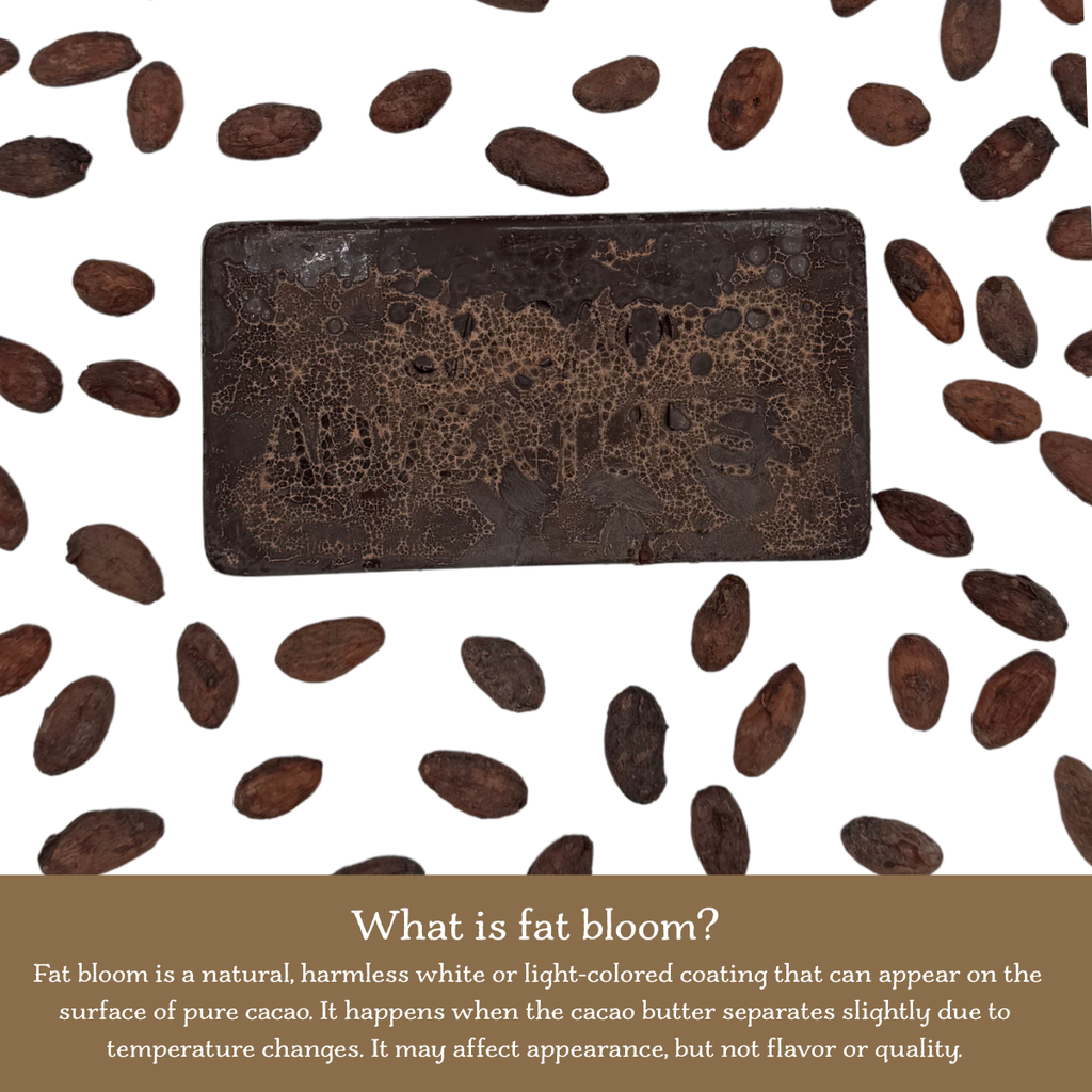 Cocoa paste bar showing bloom with cacao beans on a white background, explaining fat bloom.