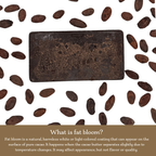 Cocoa paste bar showing bloom with cacao beans on a white background, explaining fat bloom.