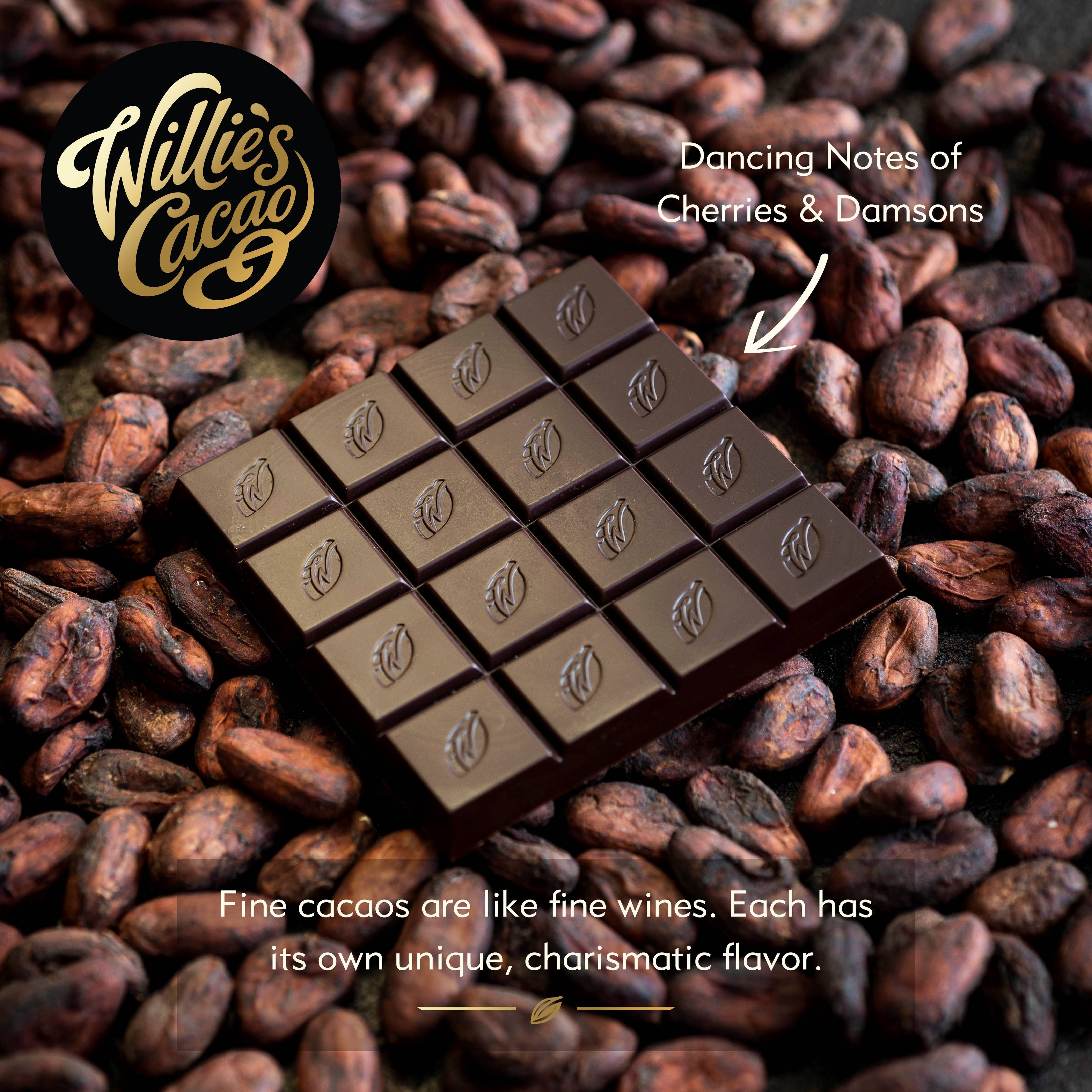 Willie's Cacao 88% San Agustín Gold Colombian Dark Chocolate bar unwrapped on cacao beans with notes of cherries and damsons