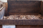 Willie's Cacao raw cacao beans fermenting in a wooden bin, traditional fermentation process for single-origin bean-to-bar chocolate